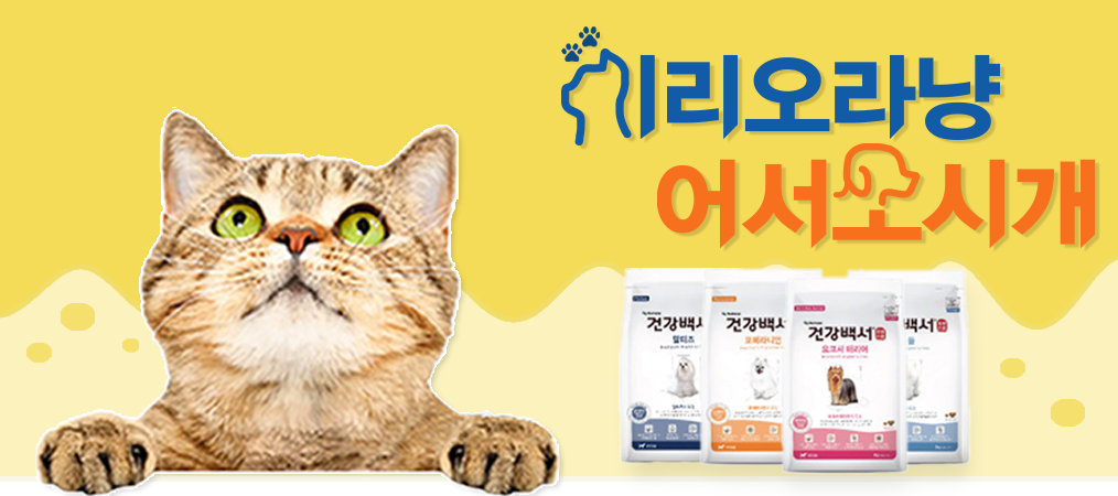 banner_design